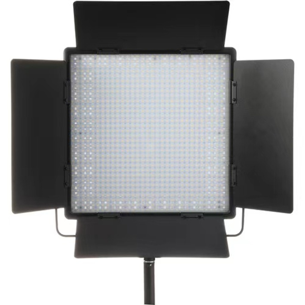 LED 1000D ii