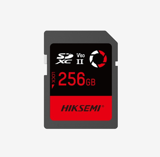 Hiksemi SD V60 256GB