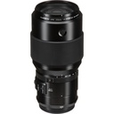 FUJIFILM GF 250mm f/4 R LM OIS WR Lens