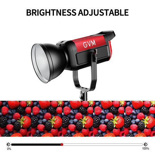 GVM Pro SD200B Bi-Color LED Monolight (200W)