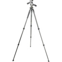 Alta Pro 2+ 264AT Tripod with GH-100 Ball Head Kit