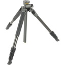 Alta Pro 2+ 264AT Tripod with GH-100 Ball Head Kit