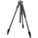 Alta Pro 2+ 264CT Tripod with ALTA PH-123V Head Kit